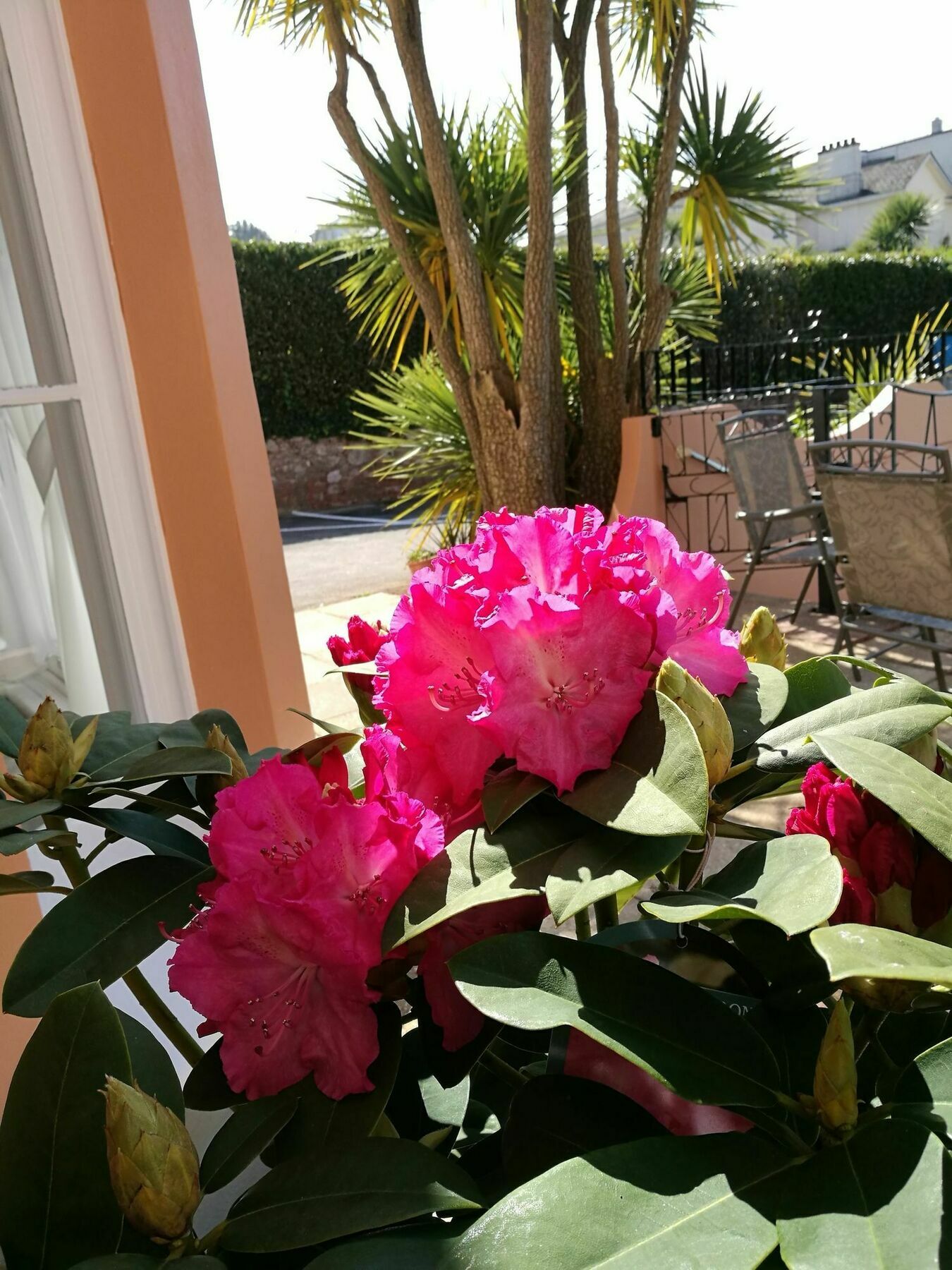 The Devon Court Hotel Torquay Luaran gambar